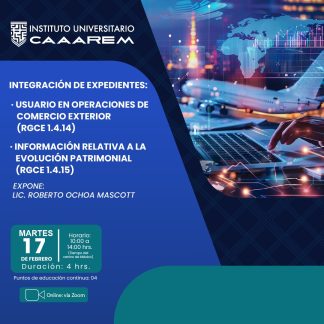 Integración de expedientes: usuario en operaciones de Comercio Exterior (RGCE 1.4.14). Información relativa a la evolución patrimonial (RGCE 1.4.15)