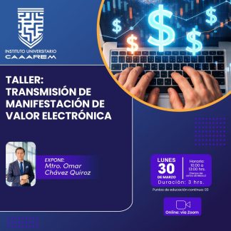 Taller: Transmisión de Manifestación de Valor Electrónica