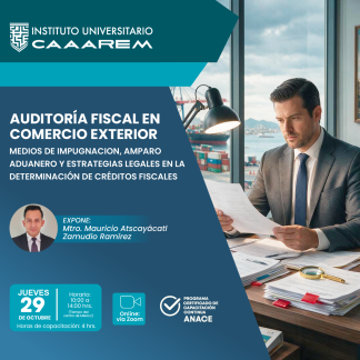 Auditoría fiscal en comercio exterior
